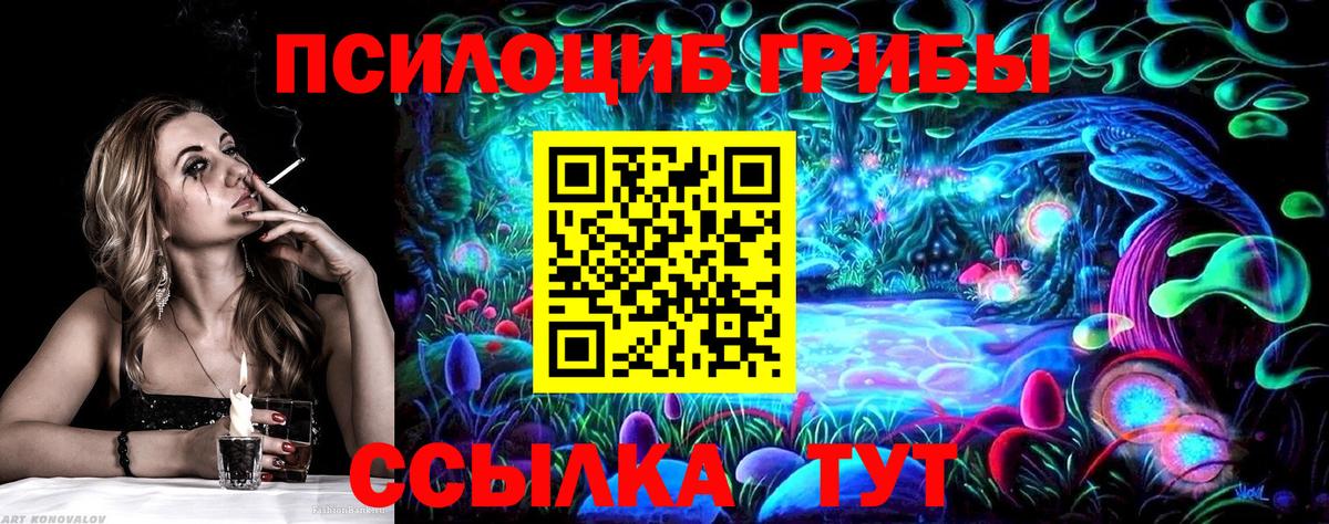 Галлюциногенные грибы Psilocybine cubensis Тобольск